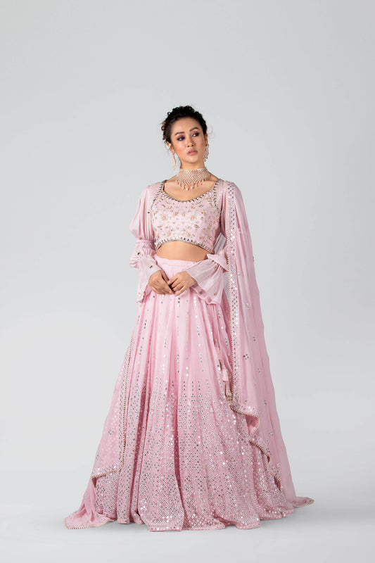 Baby Pink Embroidered Skirt Lehenga Set