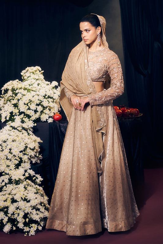 Nude/ Light Gold Lehenga Set